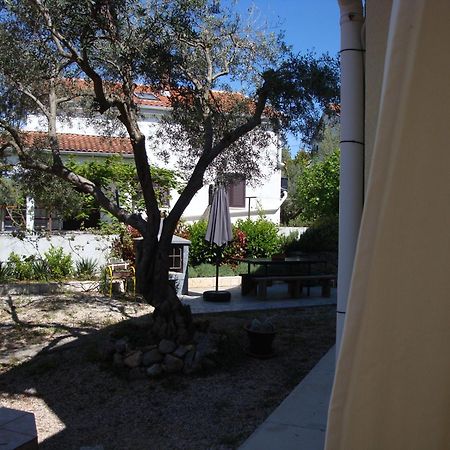 Apartments Olea Pinezići Εξωτερικό φωτογραφία
