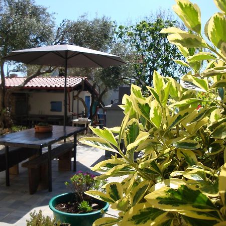 Apartments Olea Pinezići Εξωτερικό φωτογραφία