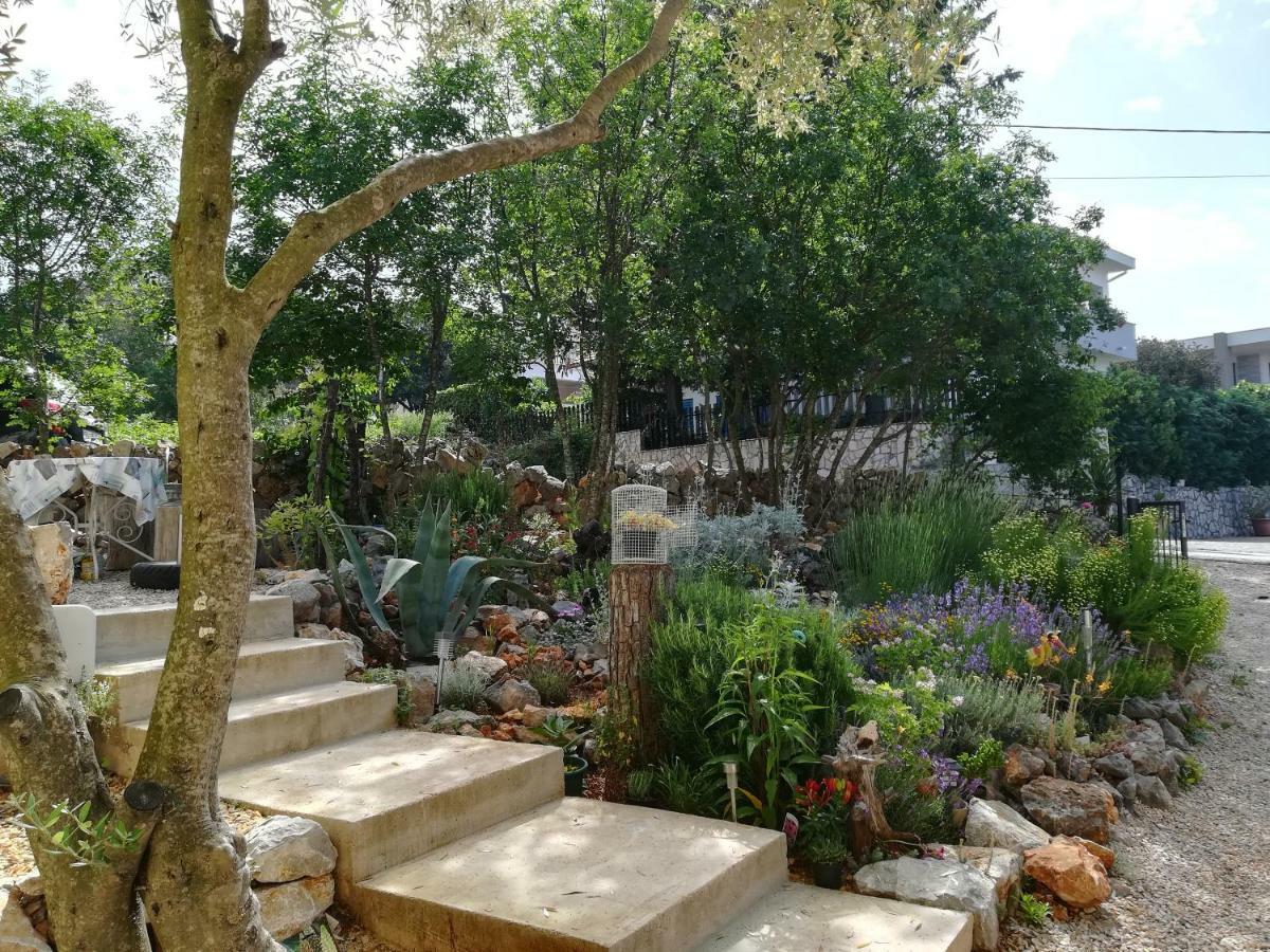 Apartments Olea Pinezići Εξωτερικό φωτογραφία